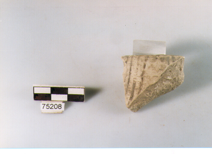 orlo, tipo E12a2, Ripoli - neolitico finale-Ripoli I (IV MILLENNIO a.C)