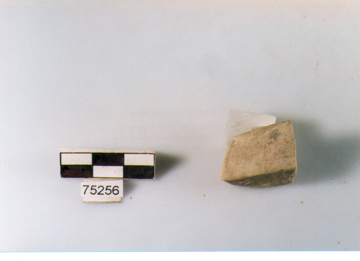 orlo, tipo E12, Ripoli - neolitico finale-Ripoli I (IV MILLENNIO a.C)