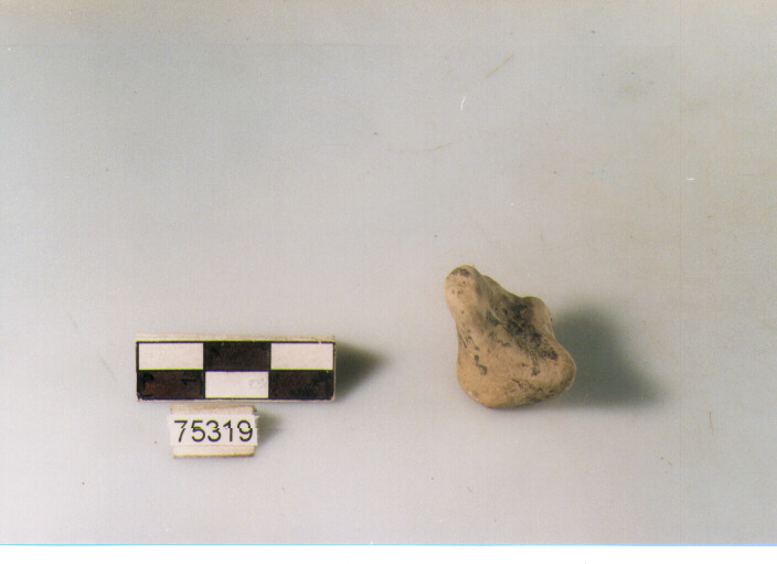 ANSA AD ANELLO, tipo A4 Ripoli - neolitico finale-Ripoli I (IV MILLENNIO a.C)