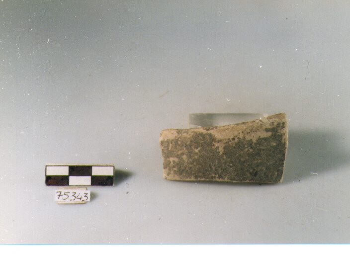 orlo, tipo E12a2, Ripoli - neolitico finale-Ripoli (IV MILLENNIO a.C)