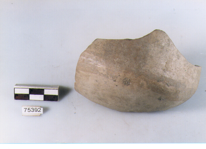 boccale, tipo F1a, Ripoli - neolitico finale-Ripoli I (IV MILLENNIO a.C)