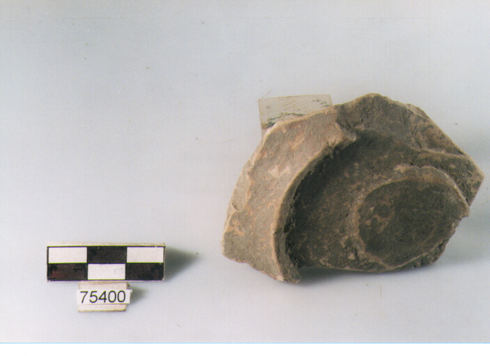 frammento, tipo E4 Ripoli - neolitico finale-Ripoli I (IV MILLENNIO a.C)