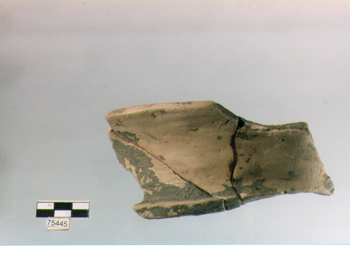 collo cilindrico, tipo E7 Ripoli - neolitico finale-Ripoli (IV MILLENNIO a.C)