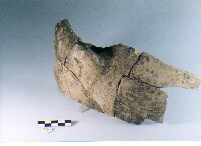 parete, tipo E15 Ripoli - neolitico finale-Ripoli I (IV MILLENNIO a.C)