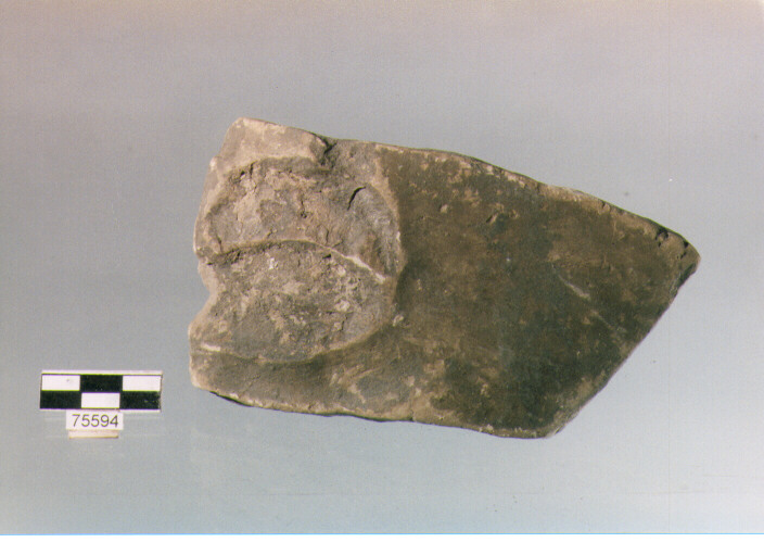 parete, tipo E15, Ripoli - neolitico finale-Ripoli (IV MILLENNIO a.C)