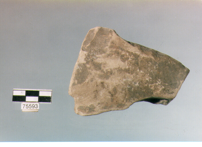 Parete, tipo E11, Ripoli - neolitico finale-Ripoli (IV MILLENNIO a.C)