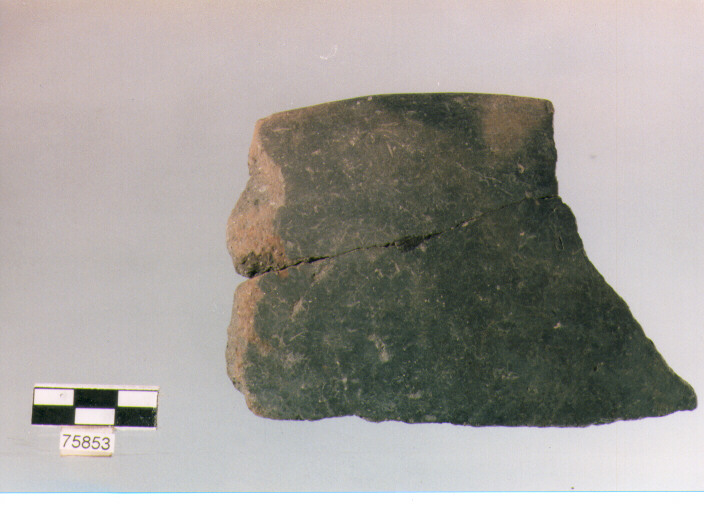 scodellone, tipo F22, Ripoli - neolitico finale-Ripoli (IV MILLENNIO a.C)