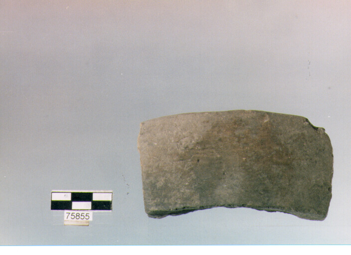scodellone troncoconico, tipo F16, Ripoli - neolitico finale-Ripoli (IV MILLENNIO a.C)