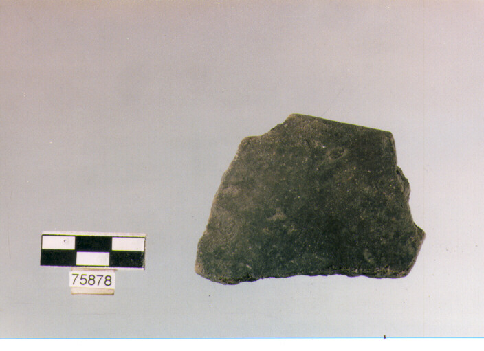orlo, tipo E12, Ripoli - neolitico finale-Ripoli (IV MILLENNIO a.C)
