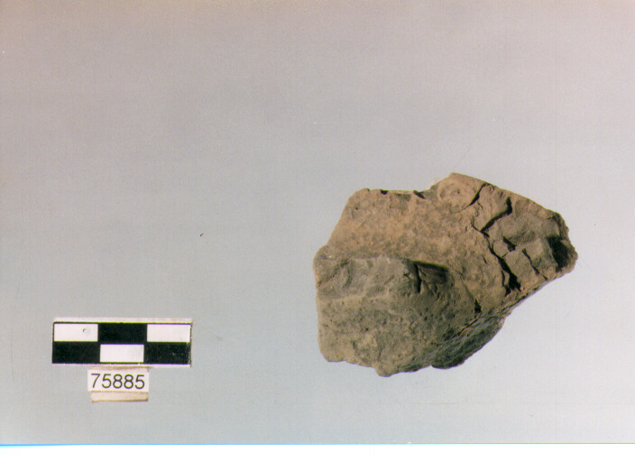 attacco di ansa, tipo A9, Ripoli - neolitico finale-Ripoli (IV MILLENNIO a.C)