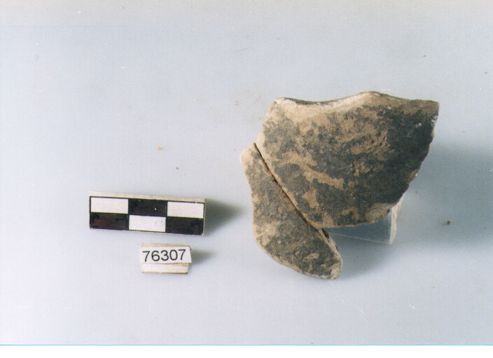 orlo, tipo E4 Ripoli - neolitico finale-Ripoli I (IV MILLENNIO a.C)