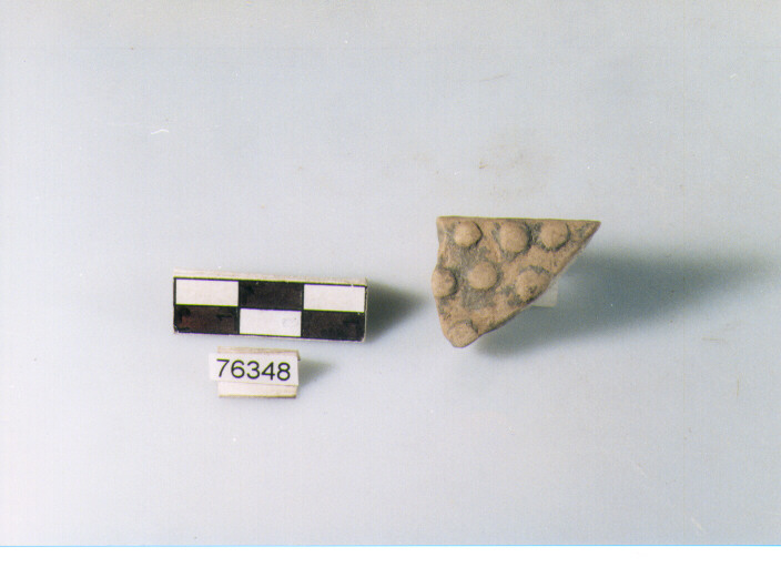 orlo, tipo E12a3 Ripoli - neolitico finale-Ripoli I (IV MILLENNIO a.C)