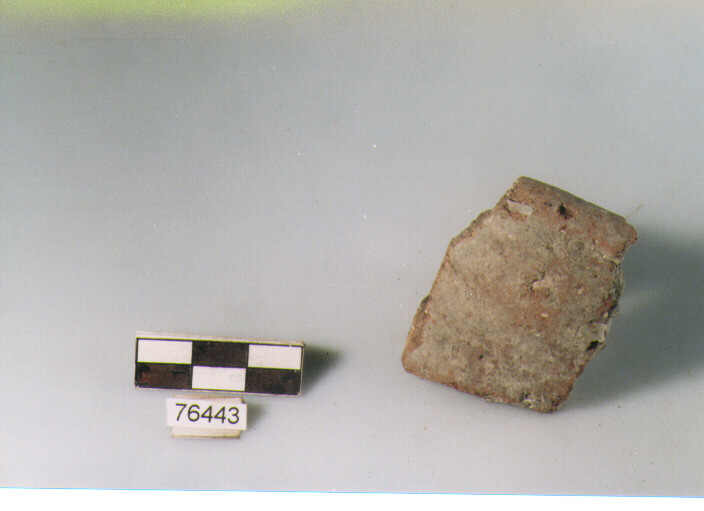 orlo, tipo E12 Ripoli - neolitico finale-Ripoli I (IV MILLENNIO a.C)