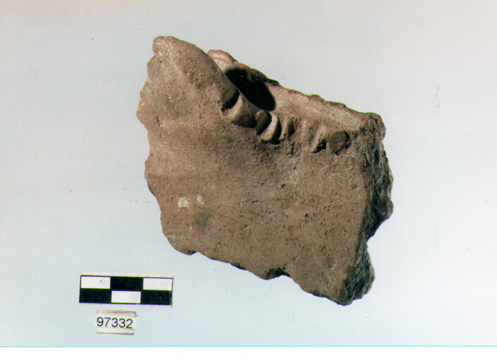 presa, prese tipo 3B, Trasacco (età del bronzo medio)
