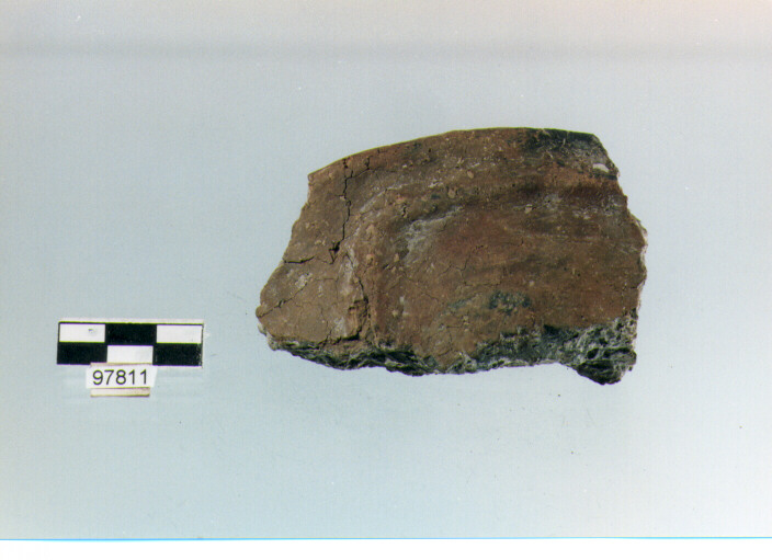 coperchio, coperchi, tipo 1, Trasacco (età del bronzo medio)