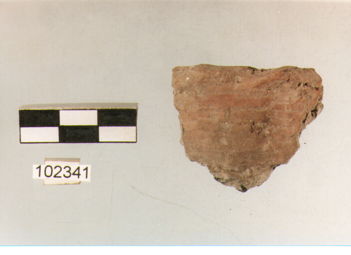 orlo, tipo E6, Grotta Sant'Angelo - età del bronzo (?) (sec. XX-X a.C)