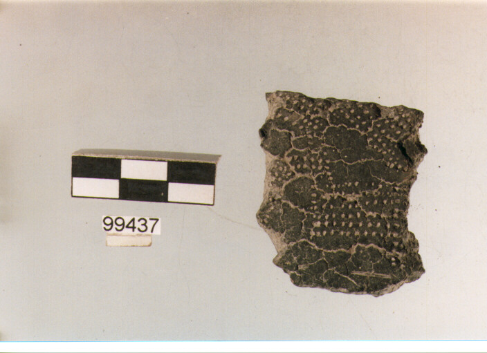Parete, tipo E6a1, Ortucchio - eneolitico (III MILLENNIO a.C)