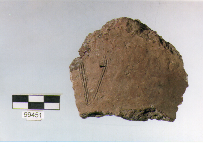 parete, tipo E6a1, Ortucchio - eneolitico (III MILLENNIO a.C)
