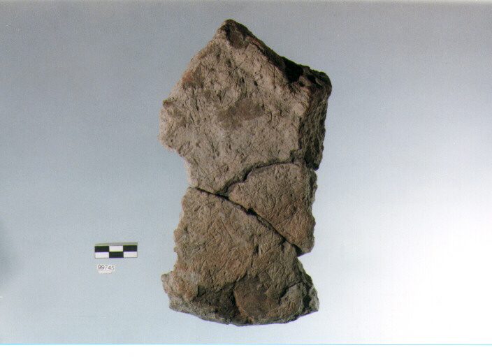 PIASTRA, tipo E15, Ortucchio - eneolitico (III MILLENNIO a.C)