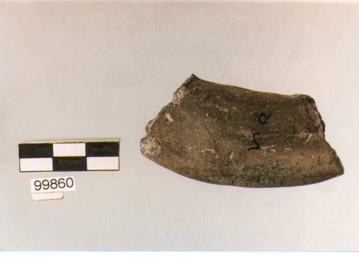 ansa a maniglia, tipo A3, Ortucchio - eneolitico (III MILLENNIO a.C)