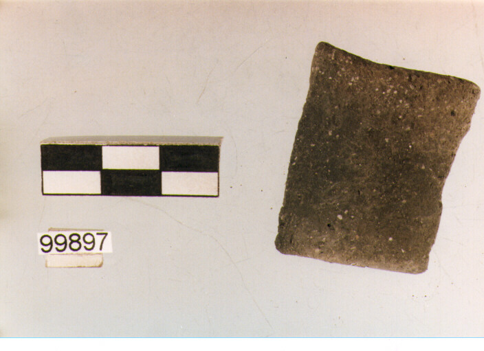 ansa a nastro, tipo A2, Ortucchio - eneolitico (III MILLENNIO a.C)