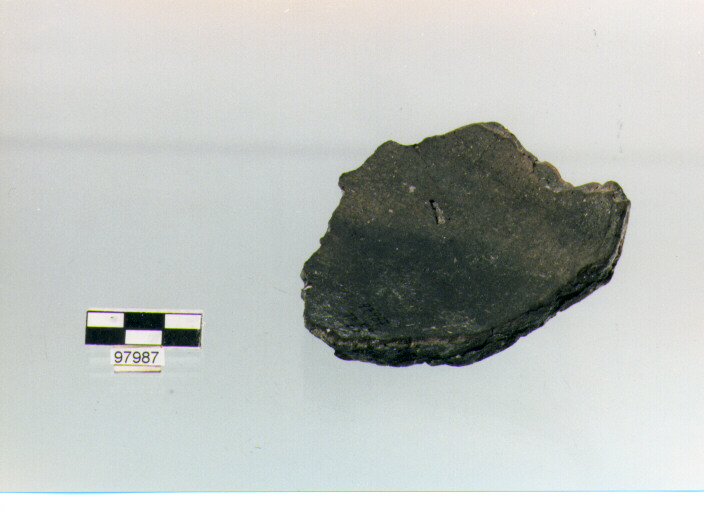 ciotola carenata/ vasca (età del bronzo medio)