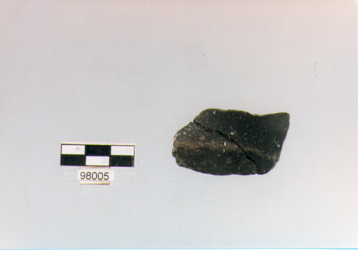 ciotola carenata/ frammento (età del bronzo medio)
