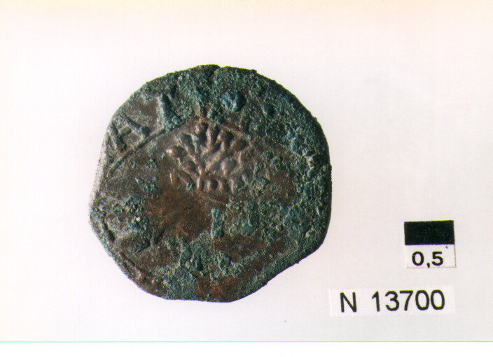 R/ scudo coronato contenente fascia iscritta; V/ tre spighe legate a un ramo d'olivo (moneta, pubblica del popolo) (sec. XVII d.C)