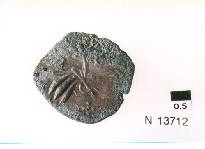 R/ scudo coronato con fascia iscritta; V/ tre spighe legate da un ramo d'olivo, sotto cinque puntini a croce (moneta, pubblica del popolo) (sec. XVII d.C)
