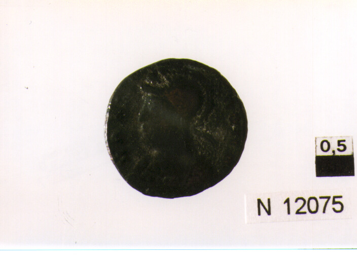 R/ busto corazzato ed elmato di Roma a sinistra; V/ la lupa volta a sinistra allatta i gemelli, in alto due stelle (moneta, follis) (sec. IV d.C)