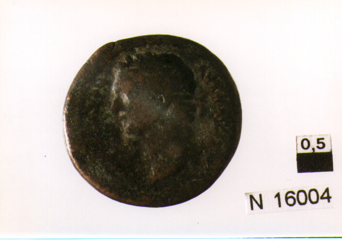 R/ testa di imperatore non identificabile a sinistra; V/ cavallo in corsaverso destra (moneta, asse) (secc. I/ II d.C)
