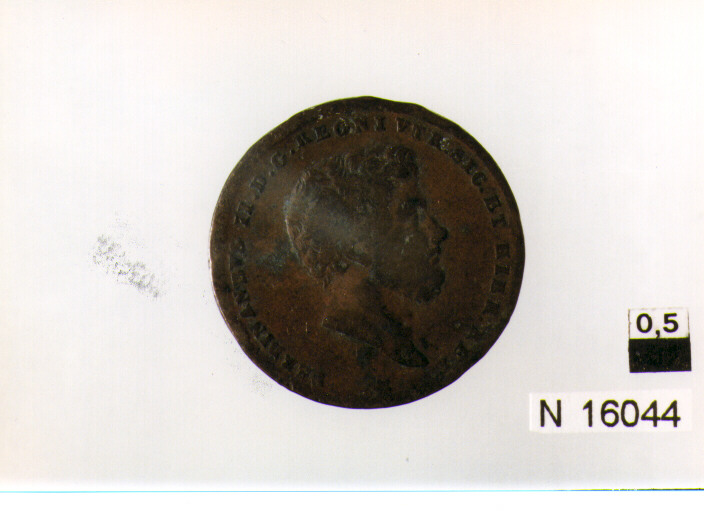 R/ testa del re barbuta, coi capelli alzati, volto a destra; V/ corona reale e iscrizione (moneta, due tornesi) (sec. XIX d.C)