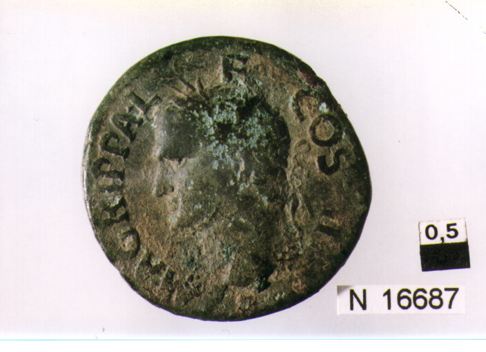 R/ testa di Agrippa a sinistra; V/ Nettuno stante a sinistra con tridenteverticale e piccolo delfino (moneta, asse) (sec. I d.C)