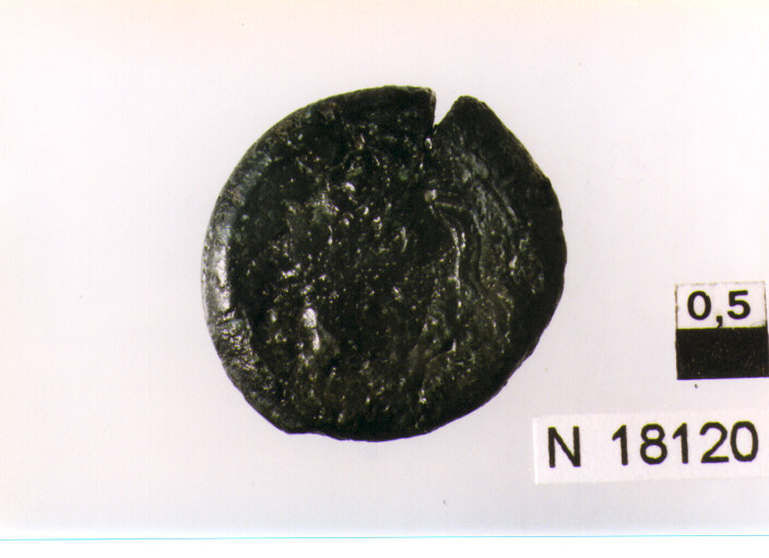 R/ testa di Pallade con elmo corinzio a sinistra; V/ Gallo stante a destra dietro astro a cinque raggi (moneta, litra) (sec. III a.C)