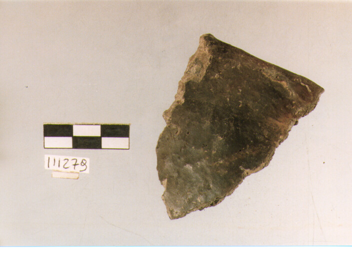 scodella, scodelle troncoconiche, tipo 1C, La Fortellezza (Prima età del ferro)