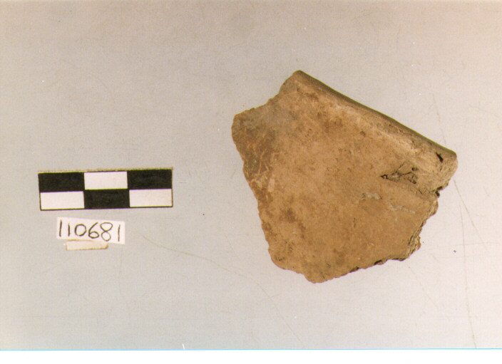 situla, situle, tipo 5C, La Fortellezza (Prima età del ferro)