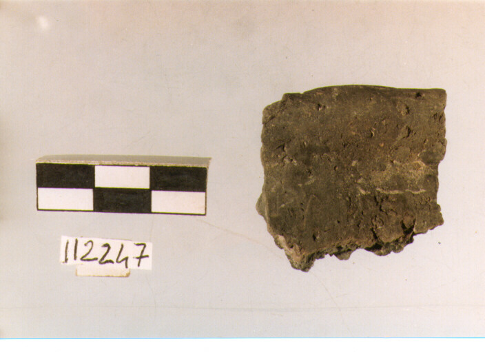 situla, situle, tipo 6C, La Fortellezza (Prima età del ferro)