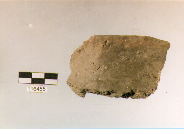 situla, situle, tipo 6C, La Fortellezza (Prima età del ferro)
