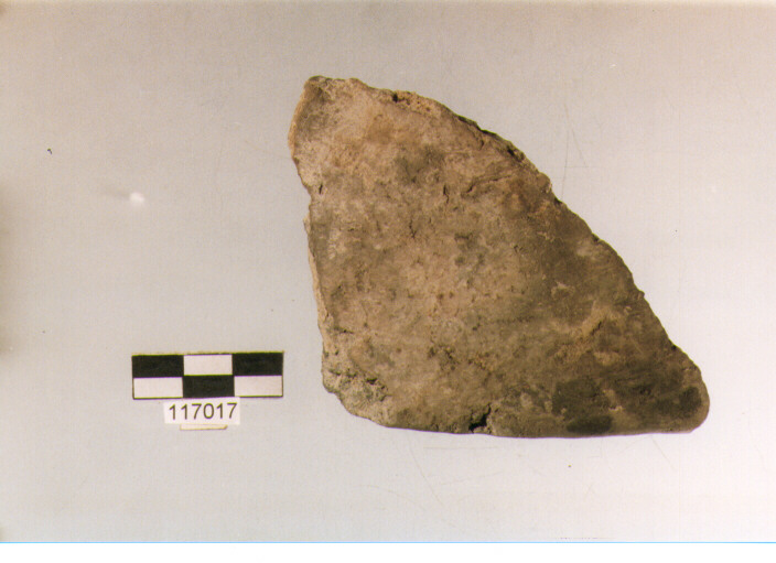 coperchio, coperchi tipo 1B, La Fortellezza (Prima età del ferro)