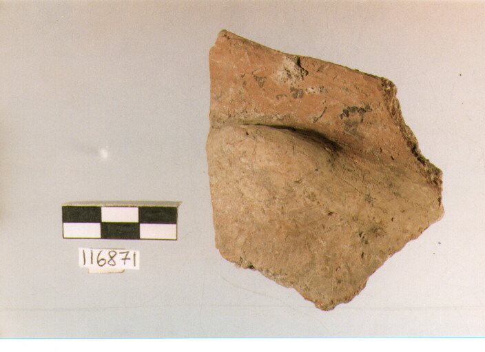 situla, situle, tipo 3B, La Fortellezza (Prima età del ferro)