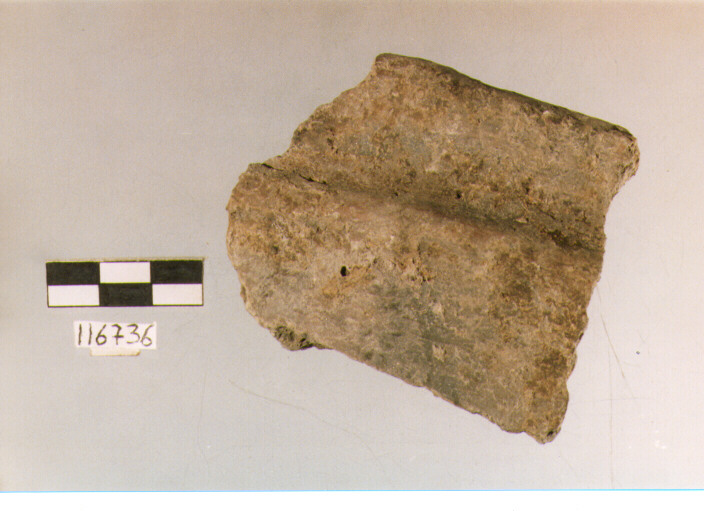 situla, situle, tipo 3A, La Fortellezza (Prima età del ferro)