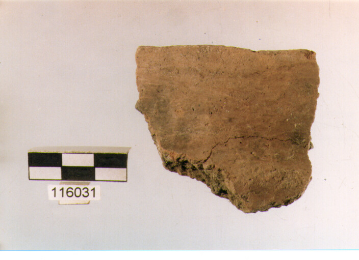 situla, situle, tipo 3C, La Fortellezza (Prima età del ferro)