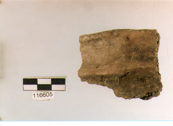 situla, situle, tipo 3B, La Fortellezza (Prima età del ferro)