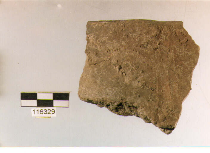 situla con presa insellata, situle, tipo 5B, La Fortellezza (Prima età del ferro)