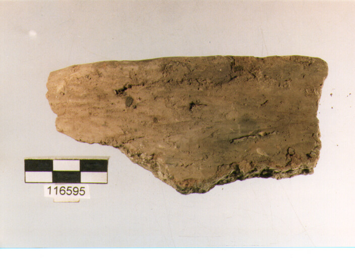 situla con presa insellata, situle, tipo 5D, La Fortellezza (Prima età del ferro)