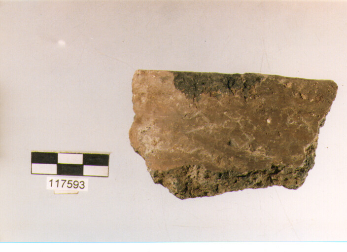 situla con presa insellata, situle, tipo 5D, La Fortellezza (Prima età del ferro)