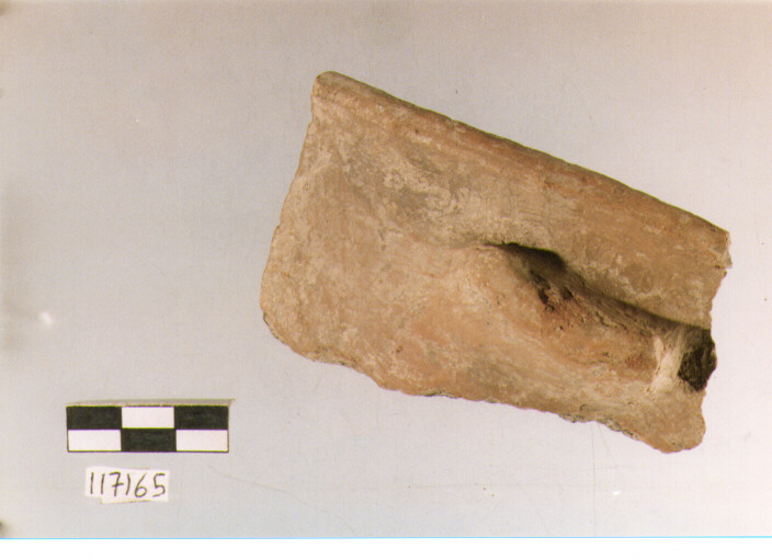 situla con presa insellata, situle, tipo 5A, La Fortellezza (Prima età del ferro)