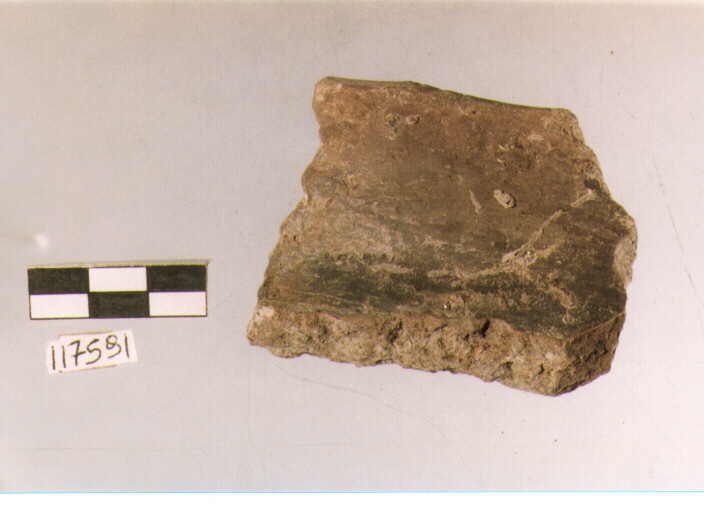 situla, situle, tipo 6A, La Fortellezza (Prima età del ferro)