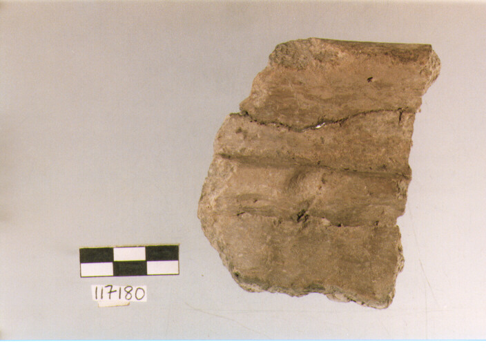 situla, situle, tipo 6B, La Fortellezza (Prima età del ferro)