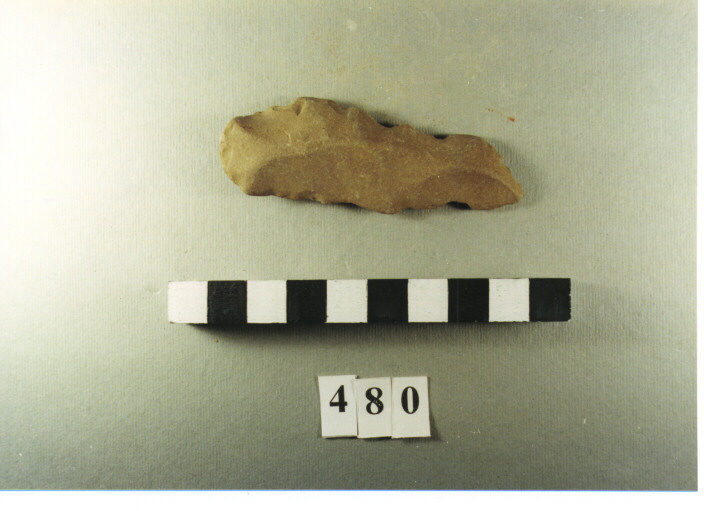 denticolato - non determinabile (Paleolitico I/ M)